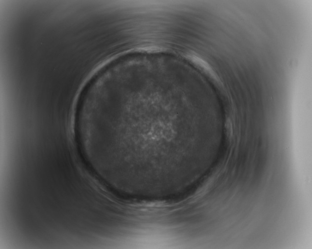 X0000089750484200707201925