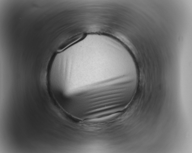 X0000089750485200707201925