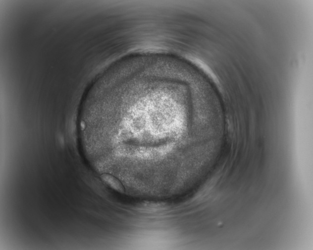 X0000089750487200707201925