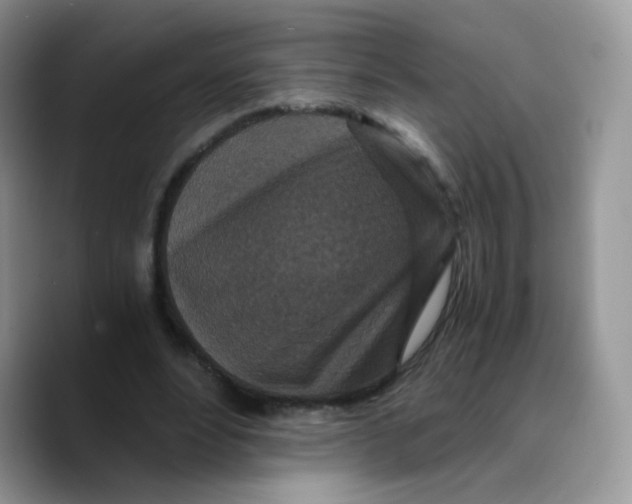 X0000089750488200707201925