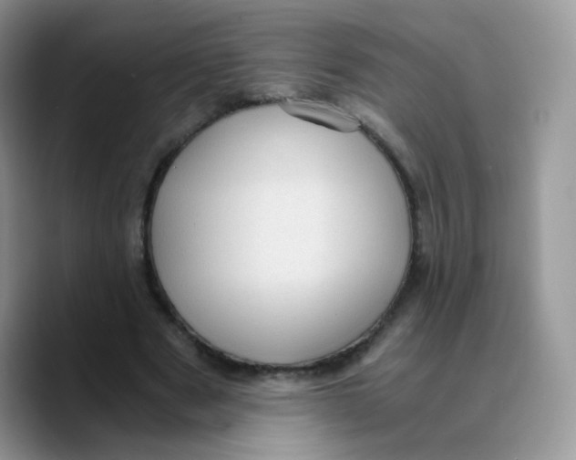 X0000089750489200707201925