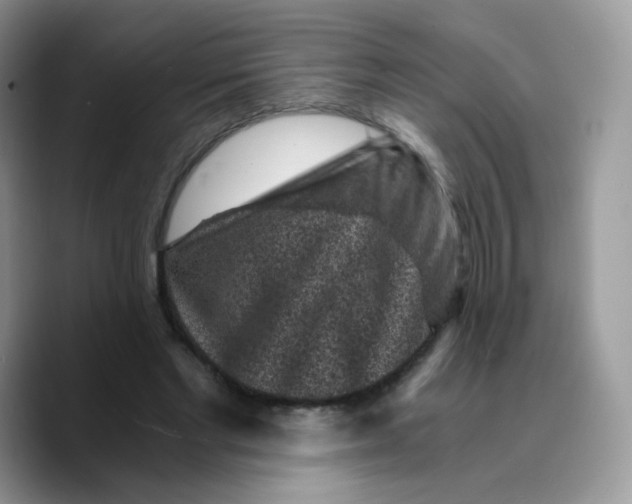 X0000089750493200707201925