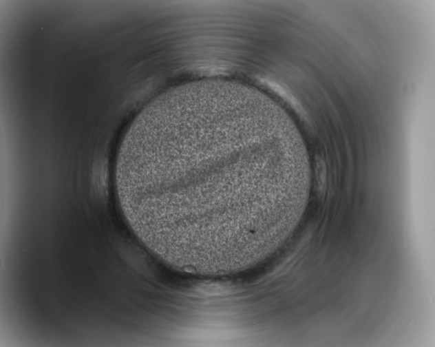 X0000089750494200707201925