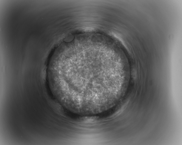 X0000089750495200707201925