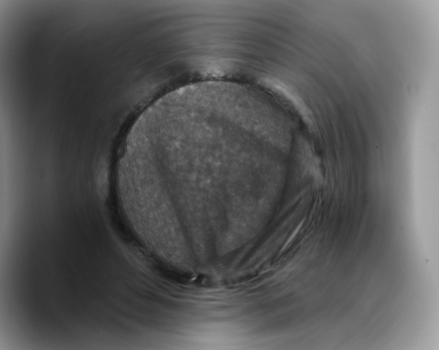 X0000089750496200707201925