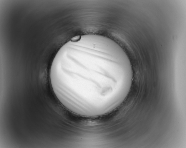 X0000089750498200707201925