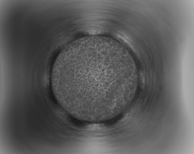 X0000089750499200707201925