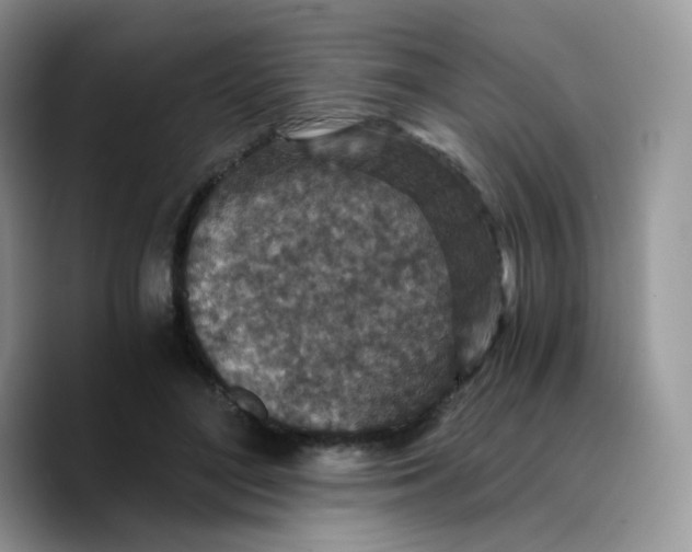 X0000089750500200707201925