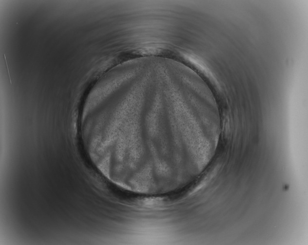 X0000089750501200707201925