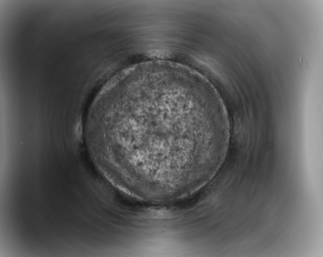 X0000089750502200707201925