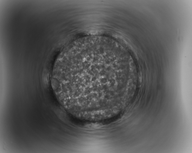 X0000089750503200707201925