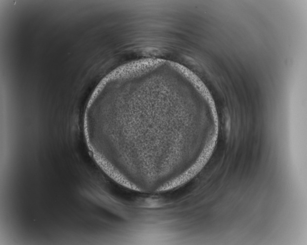 X0000089750506200707201925