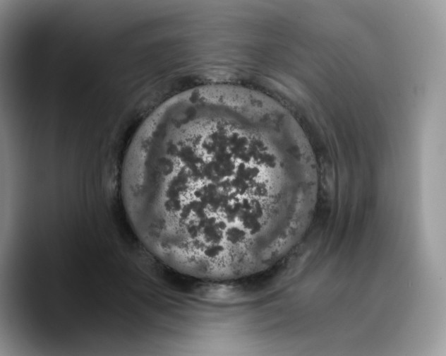 X0000089750507200707201925