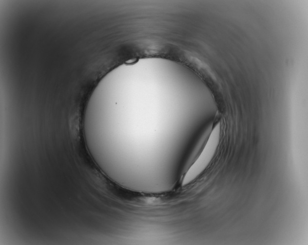 X0000089750509200707201925