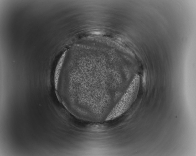 X0000089750512200707201925