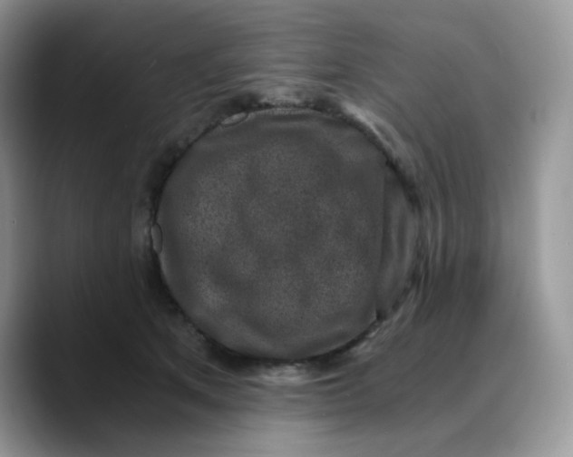 X0000089750513200707201925