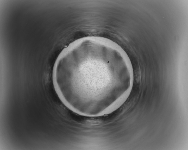 X0000089750515200707201925