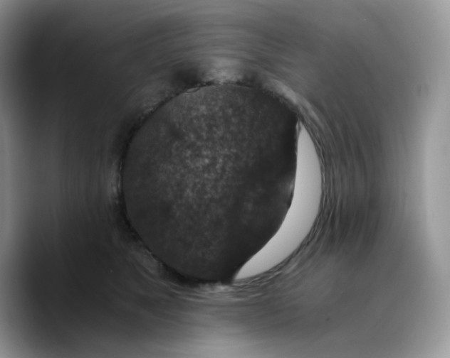 X0000089750517200707201925