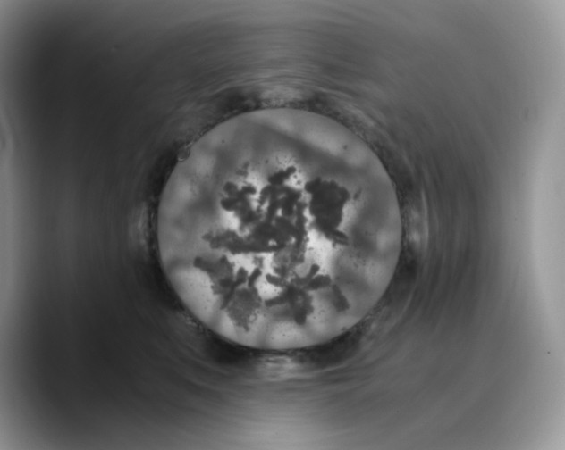 X0000089750519200707201925