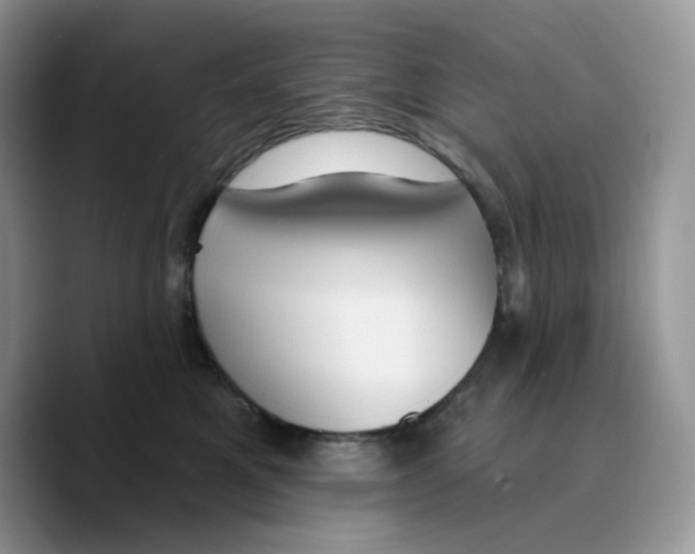 X0000089750521200707201925