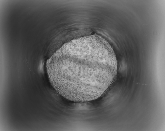 X0000089750524200707201925