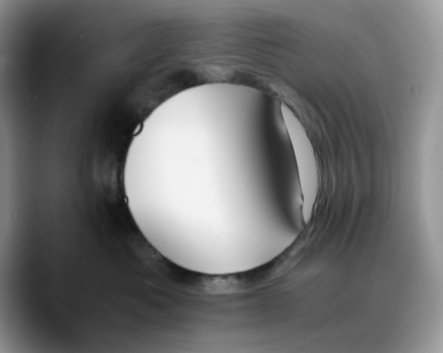 X0000089750525200707201924