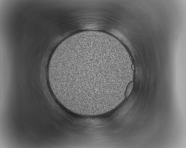 X0000089750529200707201924