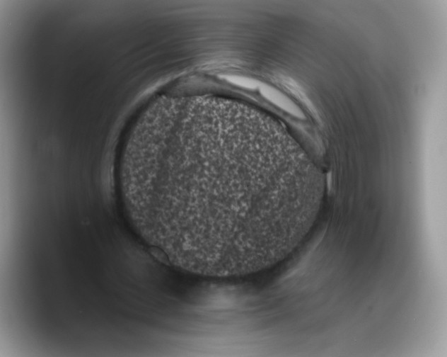 X0000089750531200707201924