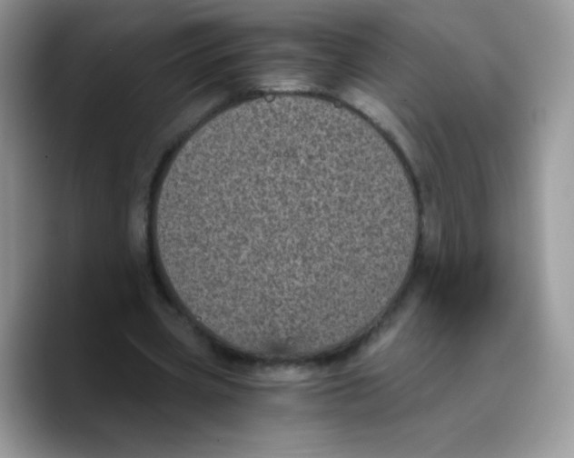 X0000089750533200707201924