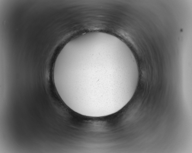 X0000089750539200707201924