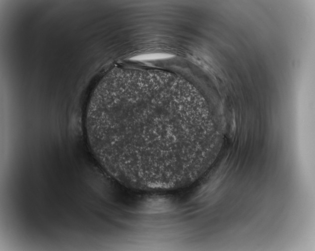 X0000089750547200707201924