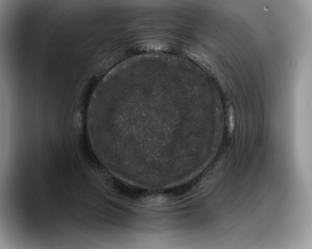 X0000089750551200707201924