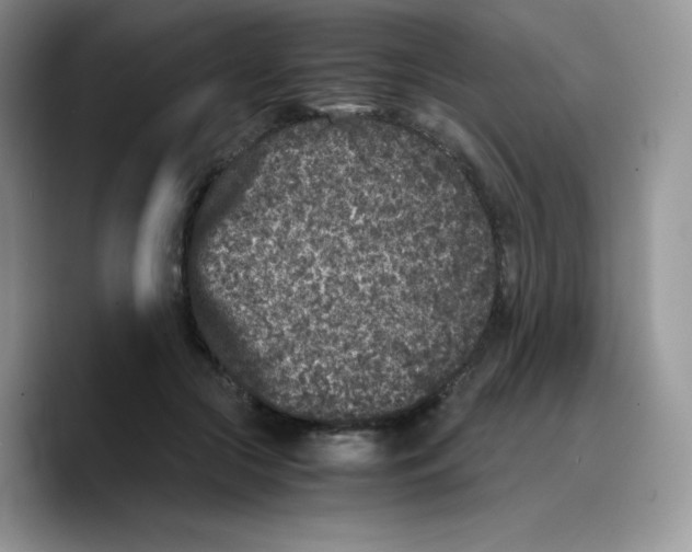 X0000089750553200707201924