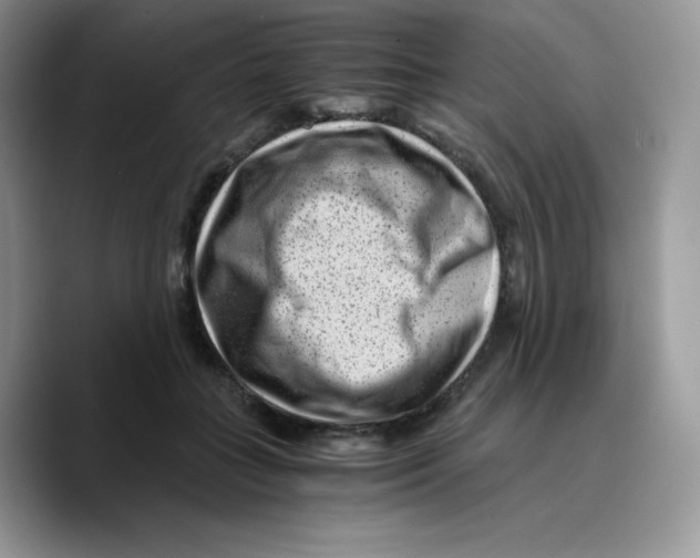 X0000089750555200707201924