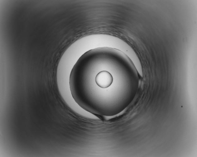 X0000089750558200707201924