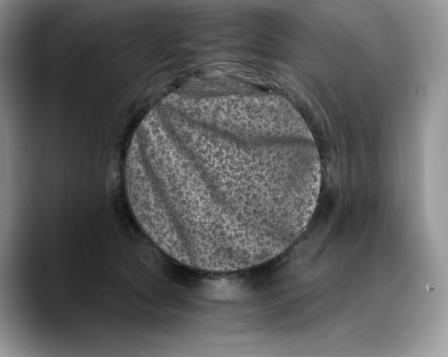 X0000089750561200707201924