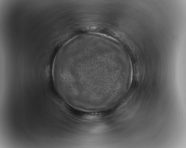 X0000089750563200707201924