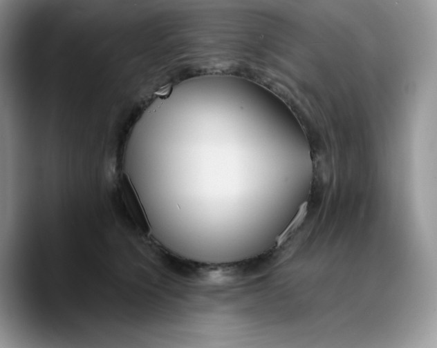 X0000089750564200707201924