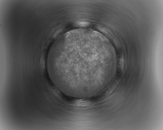 X0000089750568200707201924