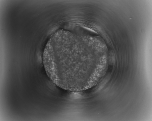 X0000089750573200707201924