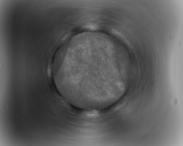 X0000089750576200707201924