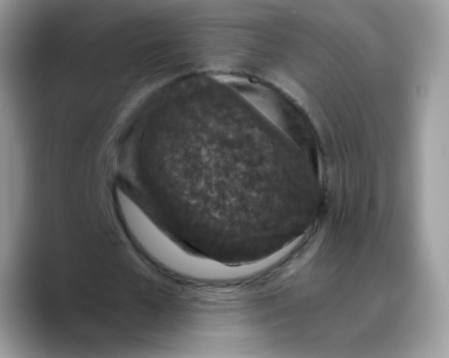 X0000089750577200707201924