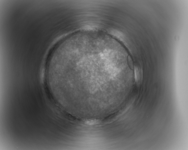 X0000089750579200707201924