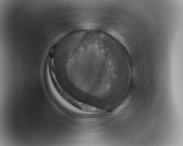 X0000089750581200707201924