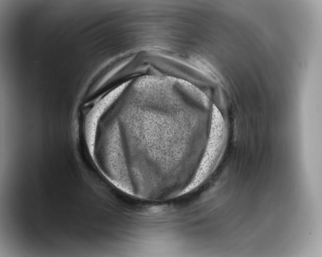 X0000089750584200707201924