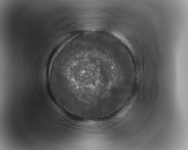 X0000089750585200707201924