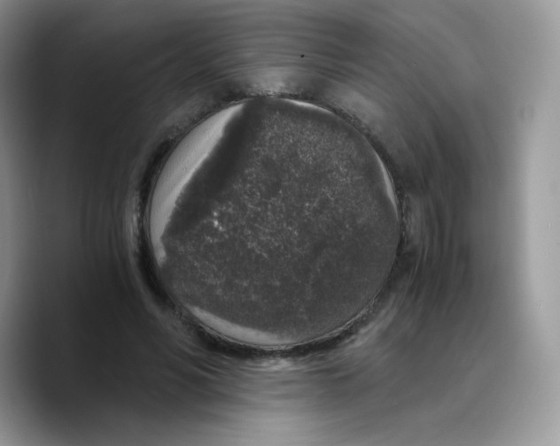 X0000089750590200707201924