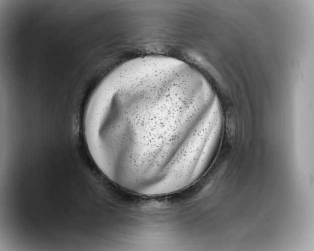 X0000089750593200707201924