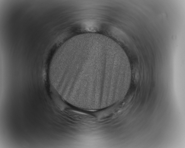 X0000089750595200707201924