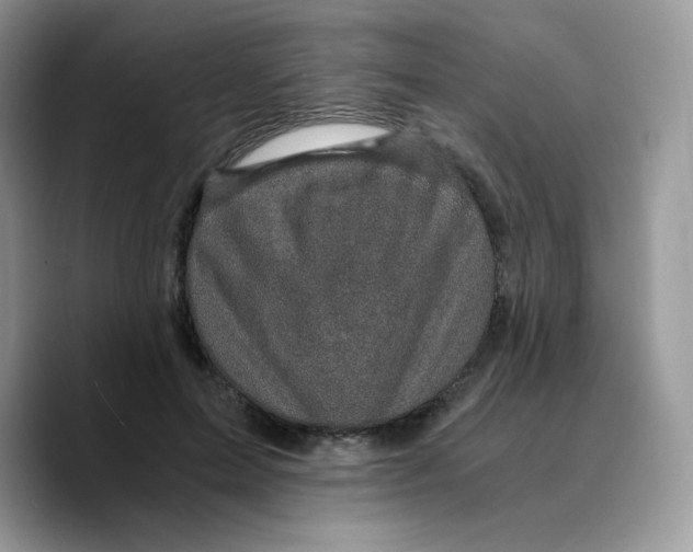 X0000089750599200707201924